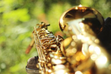 Geniş bir açıklıkla yakalanmış alto saksafonun alt kısmına odaklanan büyüleyici bir görüntü. Doğal bir ortamın ortasındaki güzel bokeh etkisi karmaşık ayrıntıları ve zarafeti vurguluyor.