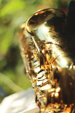 Geniş bir açıklıkla yakalanmış alto saksafonun alt kısmına odaklanan büyüleyici bir görüntü. Doğal bir ortamın ortasındaki güzel bokeh etkisi karmaşık ayrıntıları ve zarafeti vurguluyor.