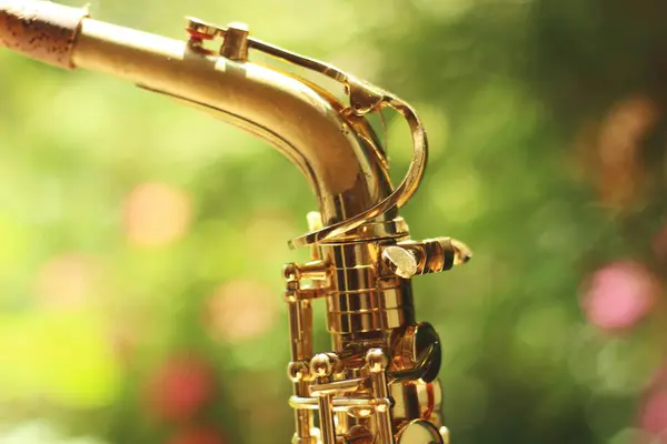 stock image A stunning image focusing on the neck of an alto saxophone, captured with a wide aperture. The beautiful bokeh effect in a natural setting highlights the intricate details and elegance.