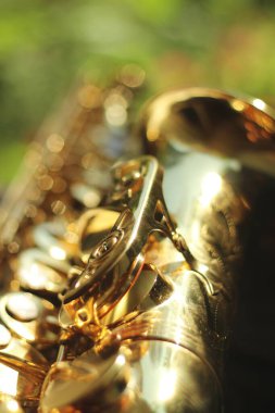 Geniş bir açıklıkla yakalanmış alto saksafonun alt kısmına odaklanan büyüleyici bir görüntü. Doğal bir ortamın ortasındaki güzel bokeh etkisi karmaşık ayrıntıları ve zarafeti vurguluyor.