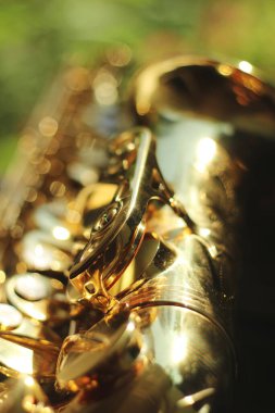 Geniş bir açıklıkla yakalanmış alto saksafonun alt kısmına odaklanan büyüleyici bir görüntü. Doğal bir ortamın ortasındaki güzel bokeh etkisi karmaşık ayrıntıları ve zarafeti vurguluyor.