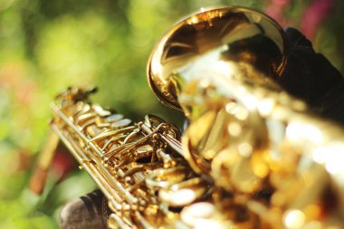 Geniş bir açıklıkla yakalanmış alto saksafonun alt kısmına odaklanan büyüleyici bir görüntü. Doğal bir ortamın ortasındaki güzel bokeh etkisi karmaşık ayrıntıları ve zarafeti vurguluyor.