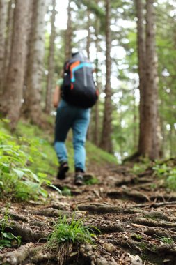 Dişi bir yürüyüşçü sırtında paraşüt teçhizatı taşıyarak bir orman patikasına tırmanır. Sahne onun maceracı ruhunu ve ormanlık arazinin dingin güzelliğini yakalar..