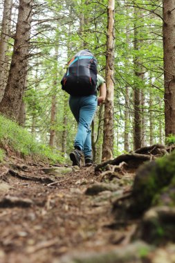 Dişi bir yürüyüşçü sırtında paraşüt teçhizatı taşıyarak bir orman patikasına tırmanır. Sahne onun maceracı ruhunu ve ormanlık arazinin dingin güzelliğini yakalar..