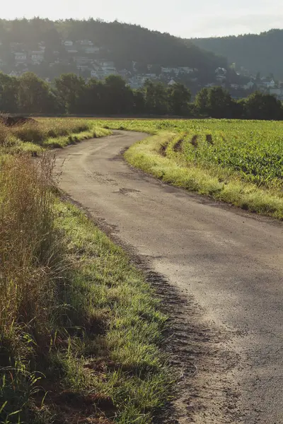 stock image A winding road meanders through lush fields on a sunny day close to Zurich. The scene captures the serene beauty of the Swiss countryside, with the road leading through vibrant green landscapes