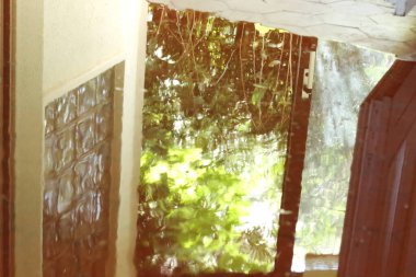 Yeşilliğin yemyeşil bir su birikintisinin yumuşak yansımasını yakalayan soyut bir fotoğraf. Görüntü, gerçeklik ve yansıma arasındaki çizgileri bulanıklaştırır.