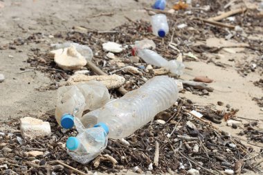 Plastik şişeler sahile saçılmış, okyanus dalgaları tarafından kıyıya vurularak deniz kirliliği ve insan atıklarının kıyı çevresi üzerindeki etkisini vurguluyor.