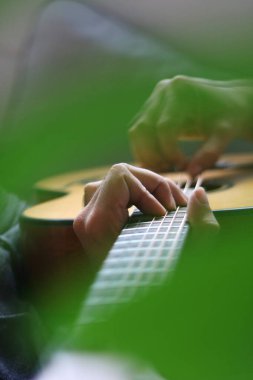 hrough the cut-outs of a monstera leaf, hands can be seen playing chords and melodies on the neck of an acoustic guitar clipart