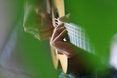 hrough the cut-outs of a monstera leaf, hands can be seen playing chords and melodies on the neck of an acoustic guitar clipart