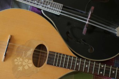 A detailed close-up of an acoustic guitar and a mandolin, showcasing their strings and intricate design elements clipart