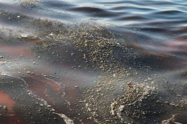 Kirlenmiş bir su yüzeyinin çarpıcı bir görüntüsü turuncu, siyah ve kahverengi tonlarında dönen yağlı desenleri gösteriyor.