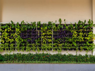A tidy display of vertically and horizontally arranged potted plants collection placed at a cream-colored wall.