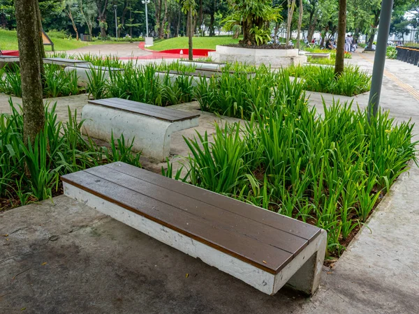 A concrete park bench with wooden sitting pad in front of a cluster of tall grass on a concrete park floor.