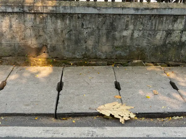 A grey concrete sidewalk with a shredded and dry brown leaf on a sunny day.