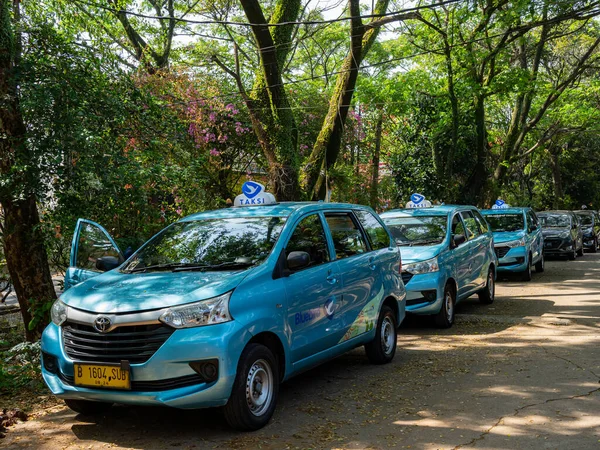 Banten, Indonesia - August 13, 2022: Three taxi units are parking in a row under a series of trees on a sunny morning.