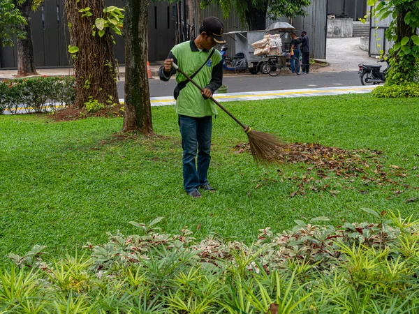 Jakarta, Indonesia - August 19, 2022: A public park gardener collecting dry leaves using a broomstick over a well maintained restful green grass overlay on a sunny morning.