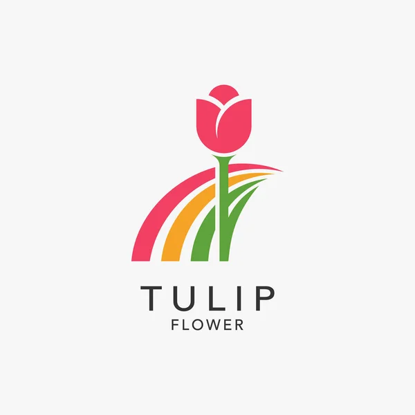 Tulpenblume Und Bunte Elemente Für Tulpengarten Logo Design — Stockvektor