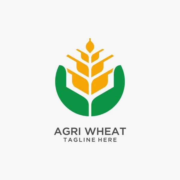 Agriculture Wheat Logo Design Royalty Free Stock Vectors