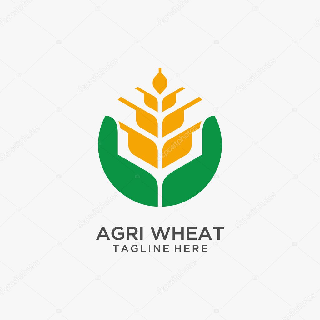 Agriculture wheat logo design
