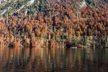 Ağaçlar ve dağlarla dolu sonbahar manzarası