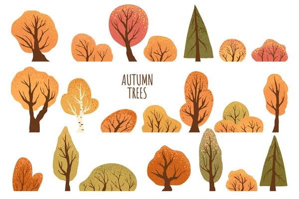 一套黄色的秋天的树和灌木丛 冷杉和灌木 被白色背景隔离 手绘病媒公园秋季树 秋季病媒说明 — 图库矢量图片