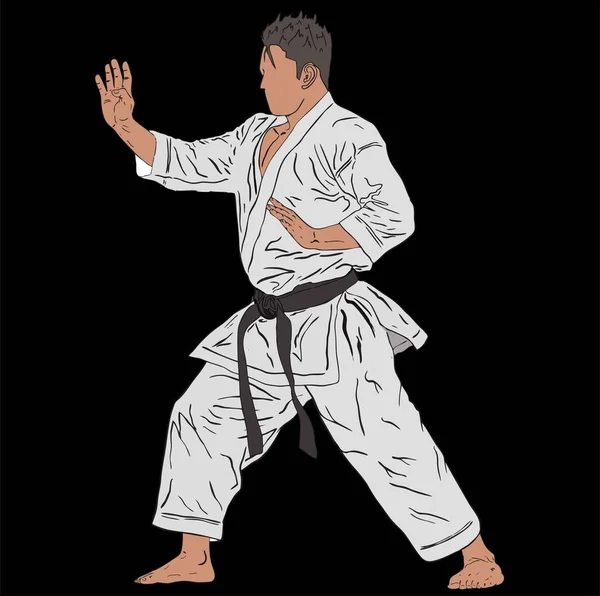 Karate Vettoriale Sparring Illustrazione — Vettoriale Stock
