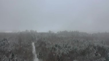 4K 'de destansı sisli havayla karlı kış manzarasının inanılmaz hava görüntüleri..
