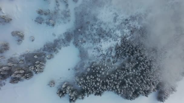 Дивовижні Аерофотознімки Сніжного Зимового Пейзажу Епічним Туманним Настроєм — стокове відео