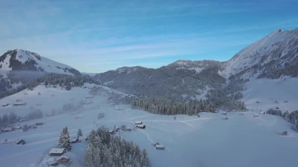 Verbazingwekkende Luchtfoto Van Besneeuwd Winterlandschap Met Epische Mistige Stemming — Stockvideo