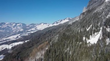 Great aerial footage in 4K over a snowy forest of fir trees in central Switzerland.