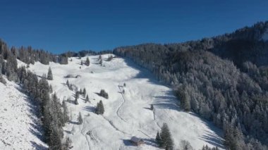 Great aerial footage in 4K over a snowy forest of fir trees in central Switzerland.
