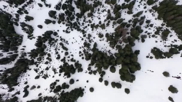 Great Air Footage Snowy Forest Middle Switzerland Canton Schwyz Einsiedeln — стокове відео