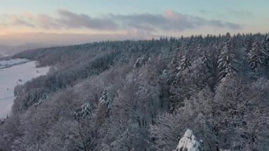 Great 4K aerial footage of a snowy forest in Switzerland in the lowlands during a beautiful sunset.