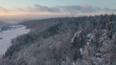 Great 4K aerial footage of a snowy forest in Switzerland in the lowlands during a beautiful sunset.