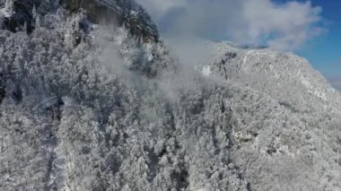 Great 4K aerial footage of the trees in the Swiss mountains covered in snow from the blizzard.