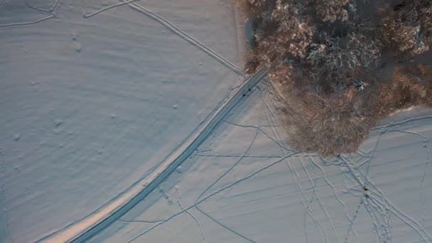 Great Aerial Footage Bird Eye View Snowy Switzerland Fields Farms — Vídeo de stock