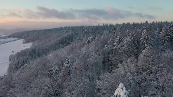Great Aerial Footage Snowy Forest Switzerland Lowlands Beautiful Sunset — Vídeos de Stock