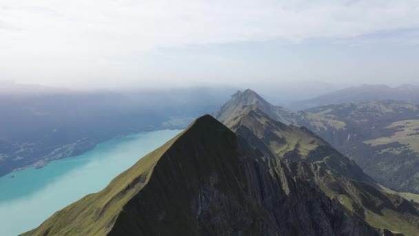 Great Aerial Footage Lake Brienz Canton Bern — ストック動画