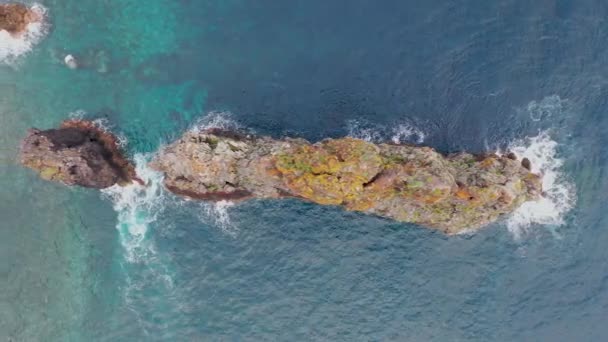 Stunning Drone Footage Beautiful Volcanic Island Called Madeira Portugal Ribeira — Stock videók