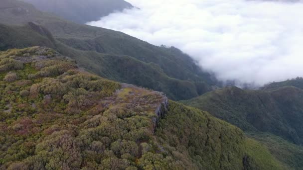 Amazing View Portuguese Viewpoint Called Bica Cana Wonderful Island Madeira — Stock videók