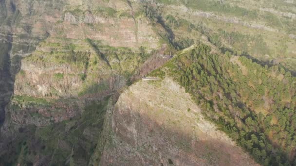 Epic Aerial View Canyon Island Madeira Portugal Trees Thrive Here — Αρχείο Βίντεο