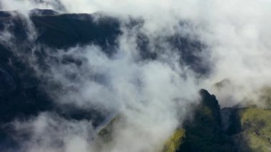 Portekiz 'deki Madeira' da bir ormanın ağaçlarının üzerindeki mistik sisin destansı hava görüntüsü..