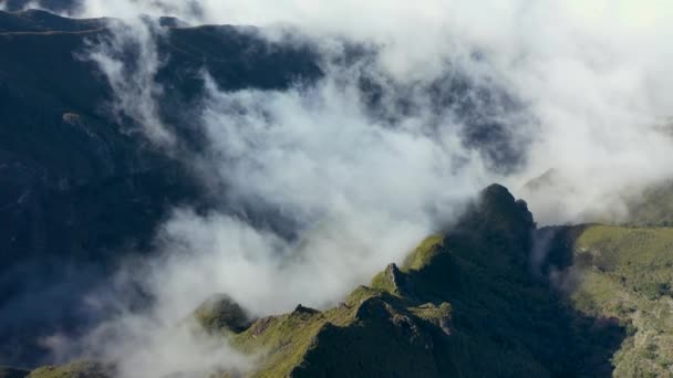 Kiváló Légi Kilátás Felett Egy Erdő Madeira Egy Misztikus Hangulatú — Stock videók