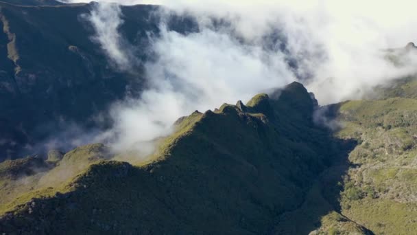 マデイラの森の上の4Kでの素晴らしい空中ビューは Pico Ruivoへのハイキングトレイルで捕らえられた神秘的な雰囲気です — ストック動画