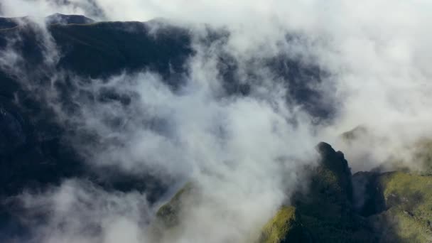Vista Aérea Épica Névoa Mística Sobre Árvores Uma Floresta Madeira — Vídeo de Stock