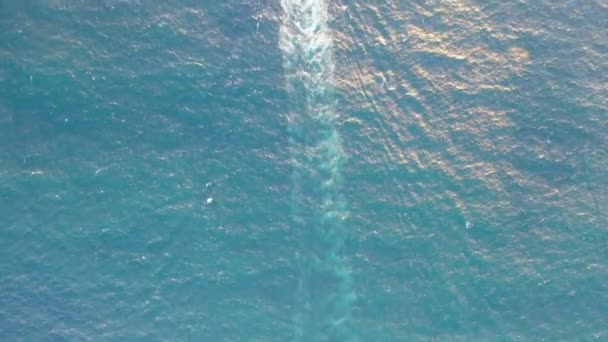 Velké Letecké Záběry Shora Lodi Plující Atlantském Oceánu Jak Rybaří — Stock video