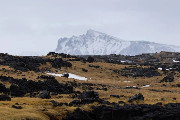 Όμορφες Ακτές Στη Βόρεια Ισλανδία Που Σχηματίζονται Από Ηφαιστειακά Πετρώματα — Φωτογραφία Αρχείου