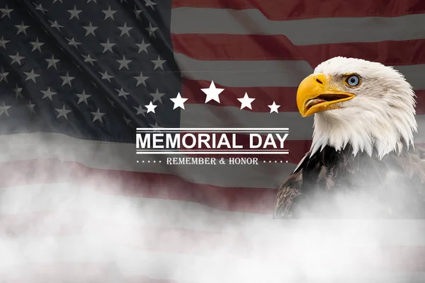 Memorial Day Which Falls Last Monday May Shown Here American — Stock Photo, Image