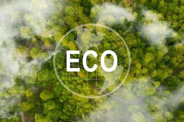 图标减少二氧化碳排放的概念在森林的顶部观点基于可再生能源限制气候变化和全球变暖的环境 可持续发展和绿色商业 — 图库照片