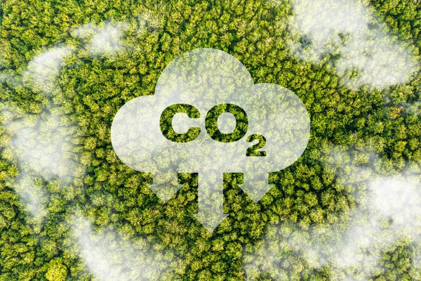 Szén Dioxid Kibocsátás Kérdését Annak Természetre Gyakorolt Hatását Ábrázoló Koncepció — Stock Fotó
